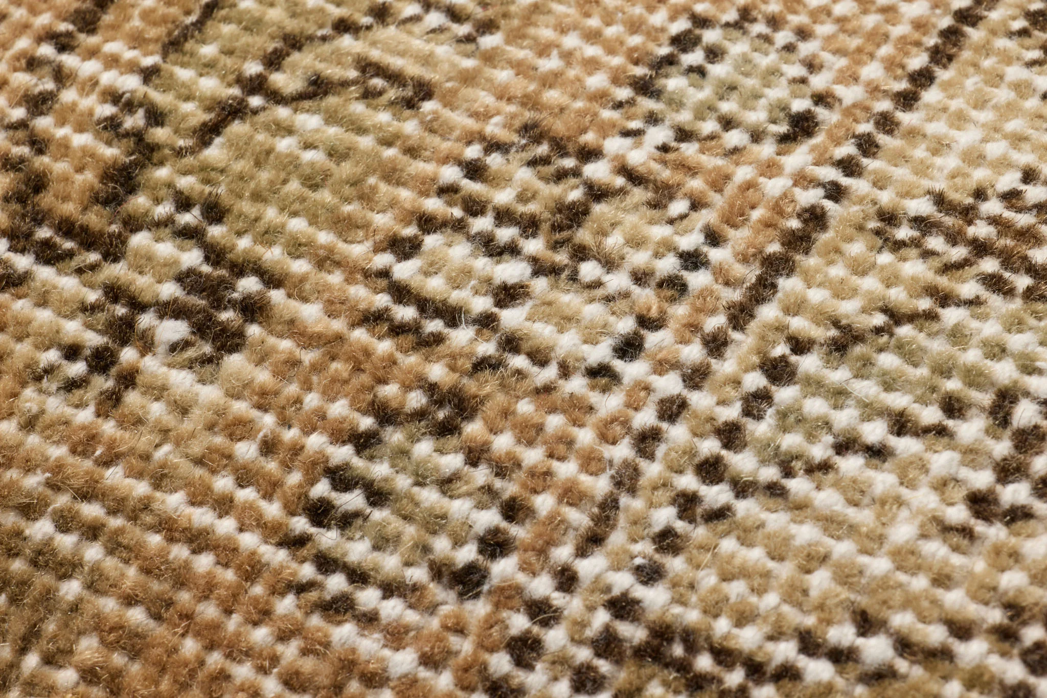 0612850104 - Image 2