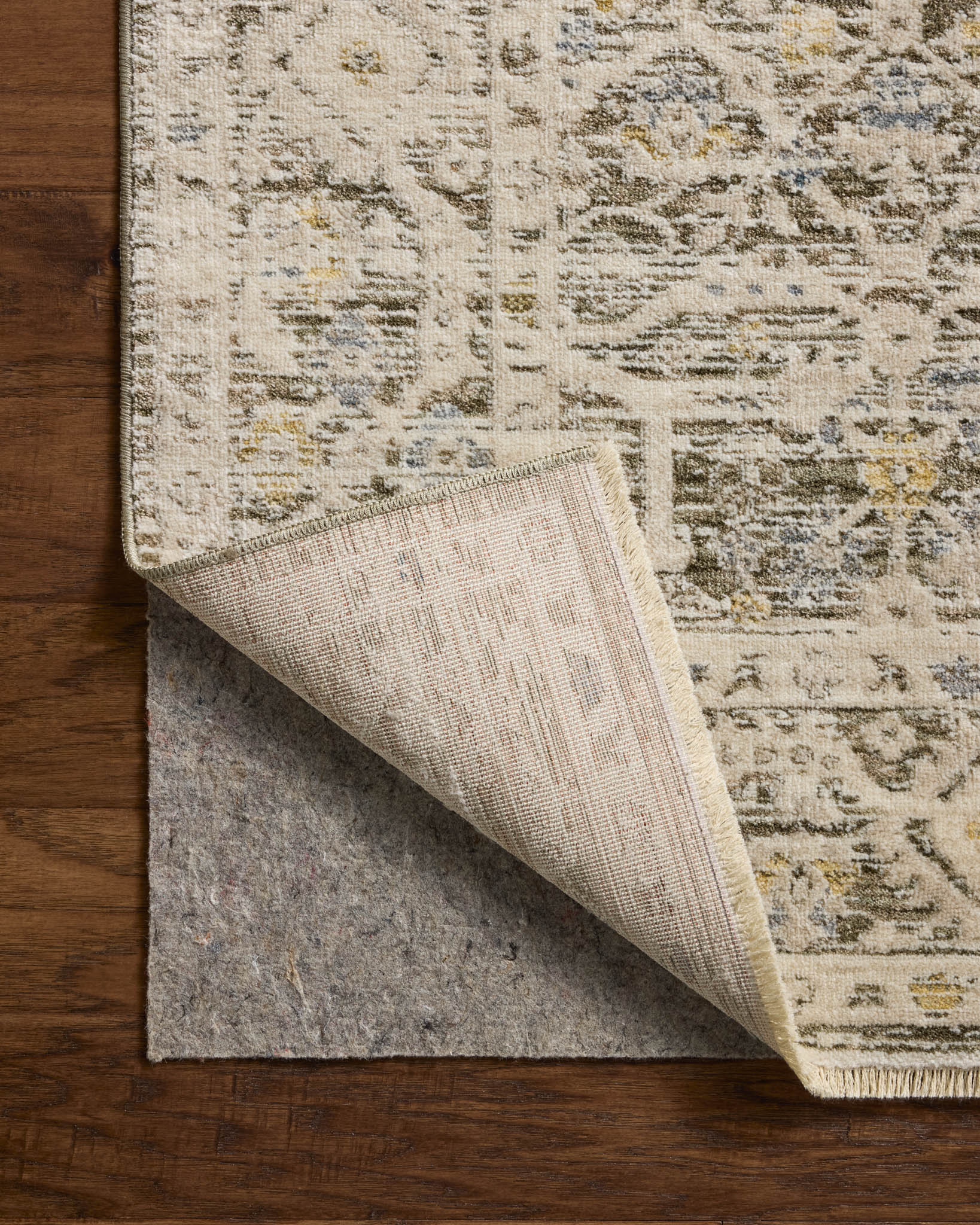 CLS-08 OLIVE / IVORY - Image 5