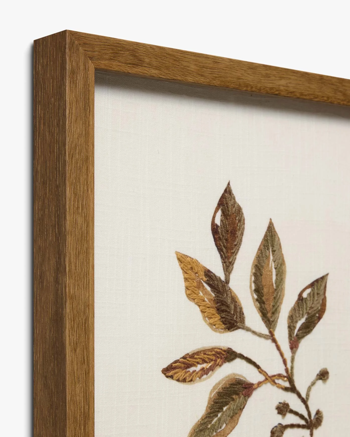 FOLIA - Image 2
