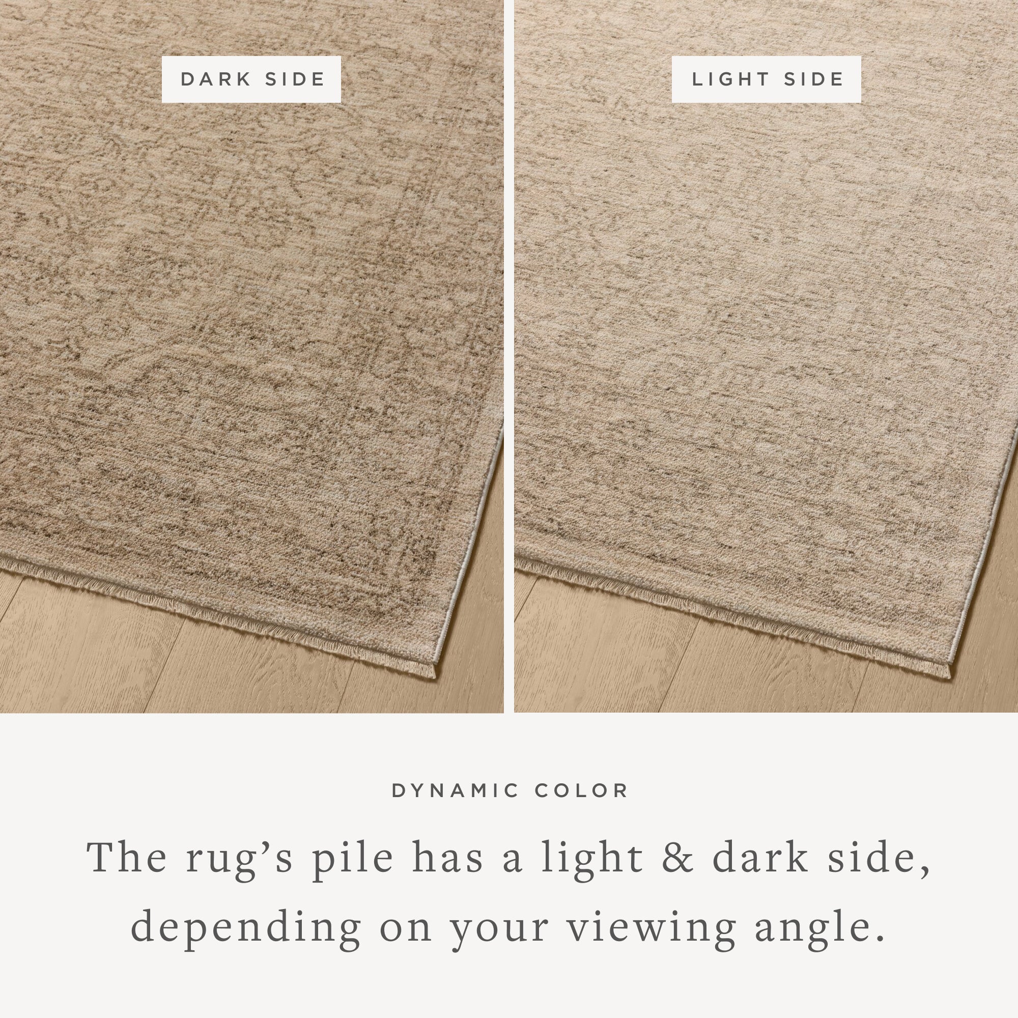 NEW-01 TAUPE / BONE - Image 3