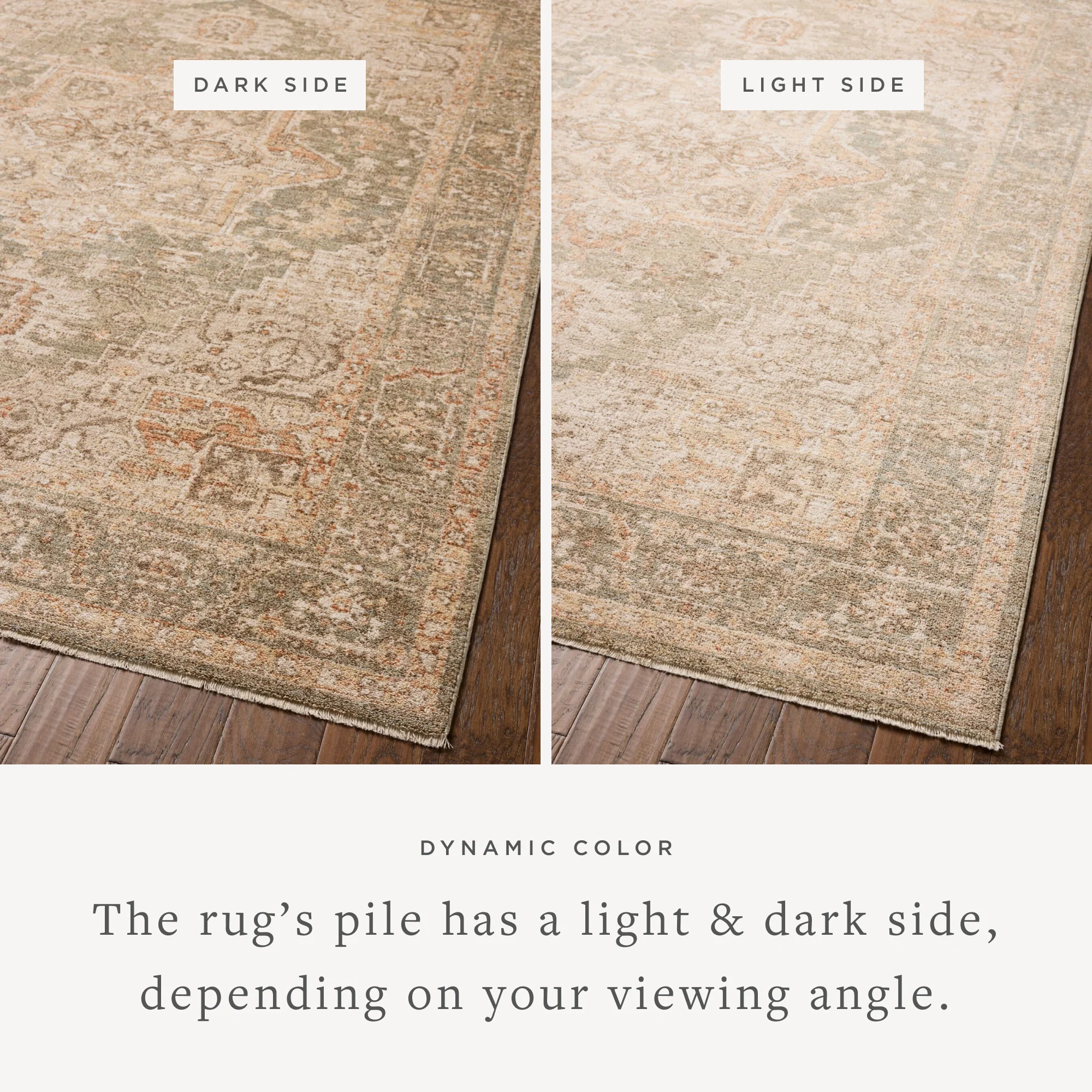 PLM-08 OLIVE / SPICE - Image 2